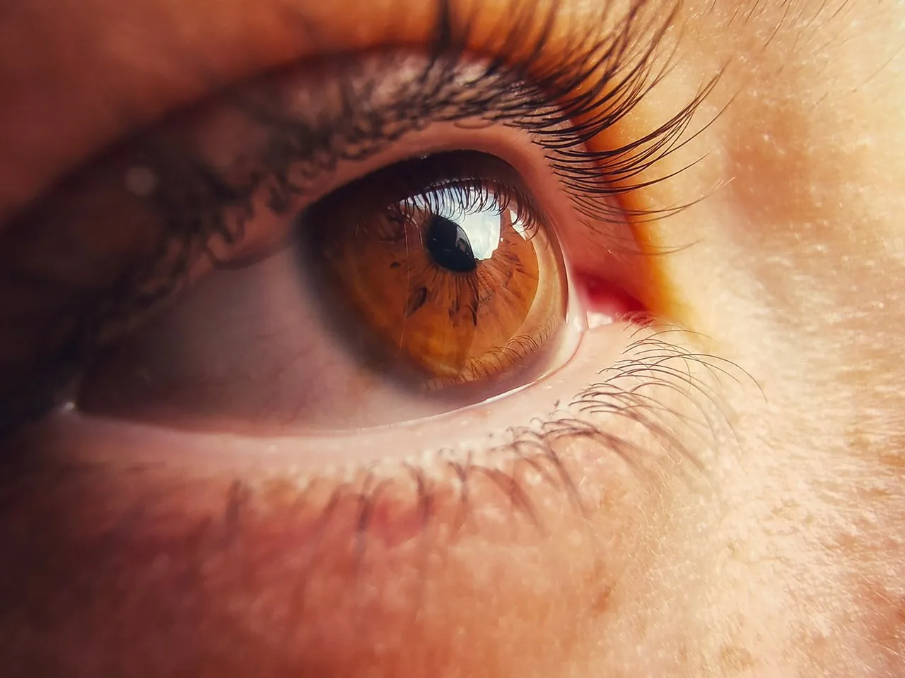 Close-up of a brown eye