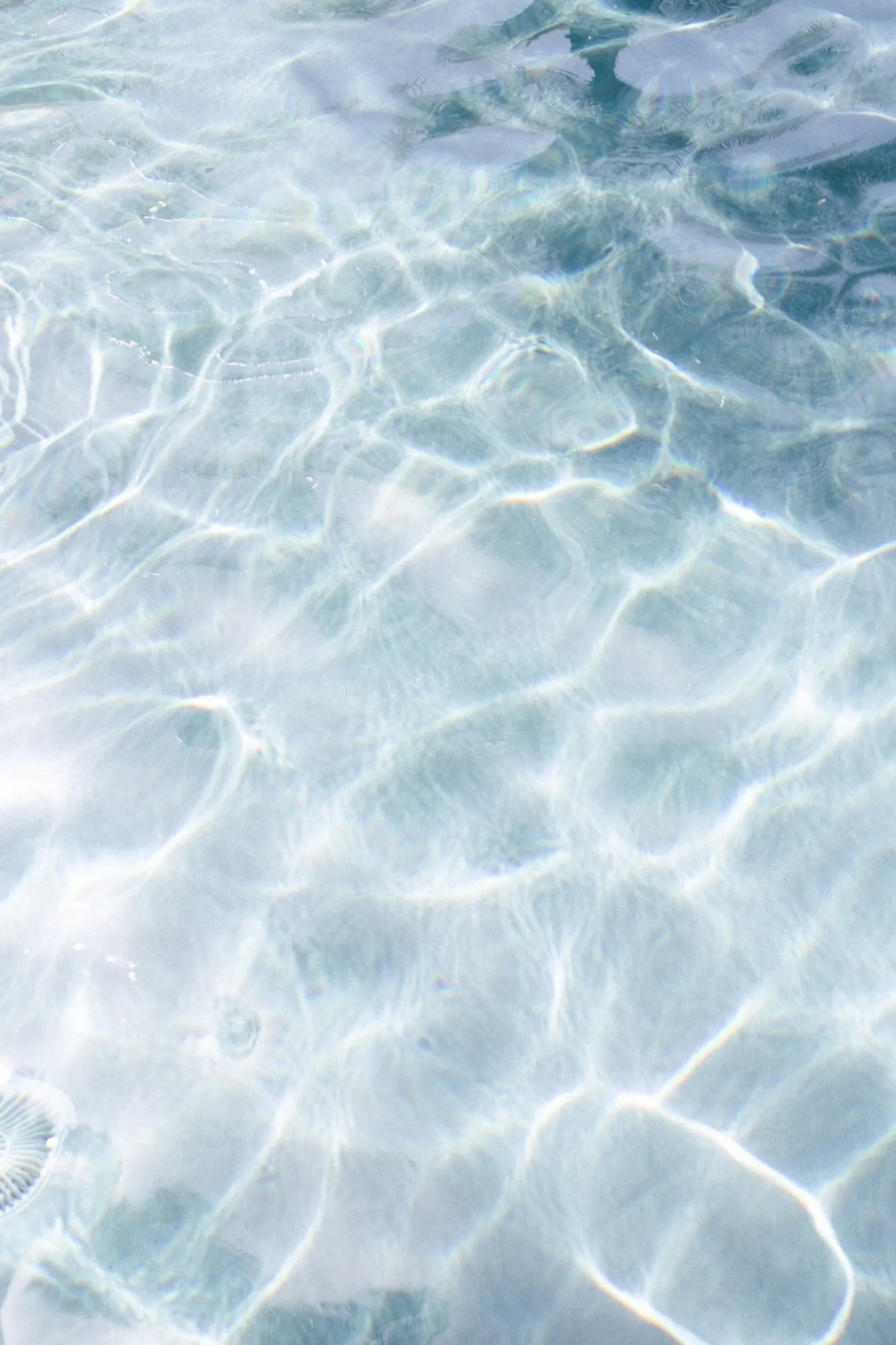 Sunlight rippling through clear water