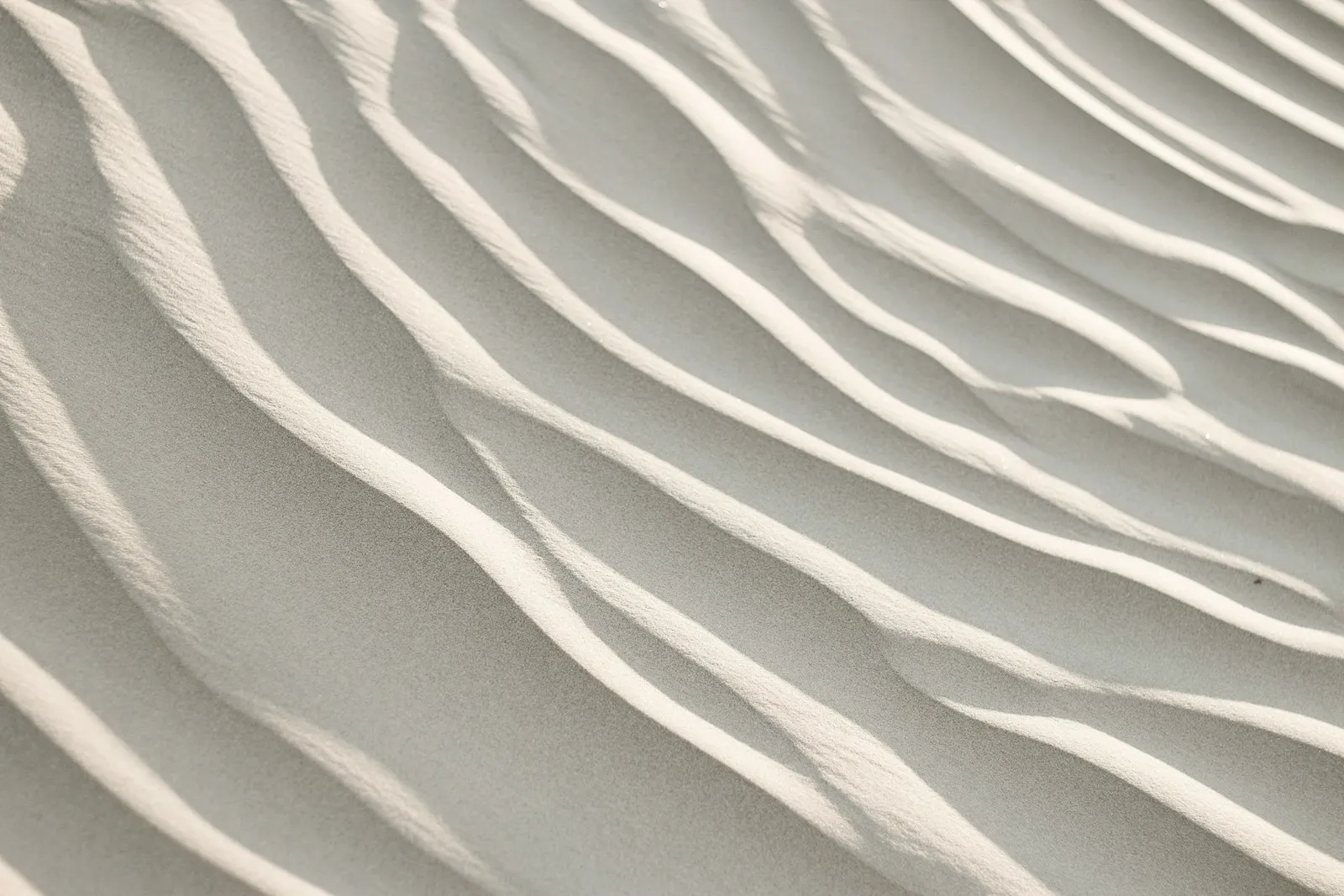 Wind-sculpted ripples in pale sand